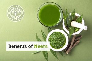 Neem Extract as a BioPesticide 2