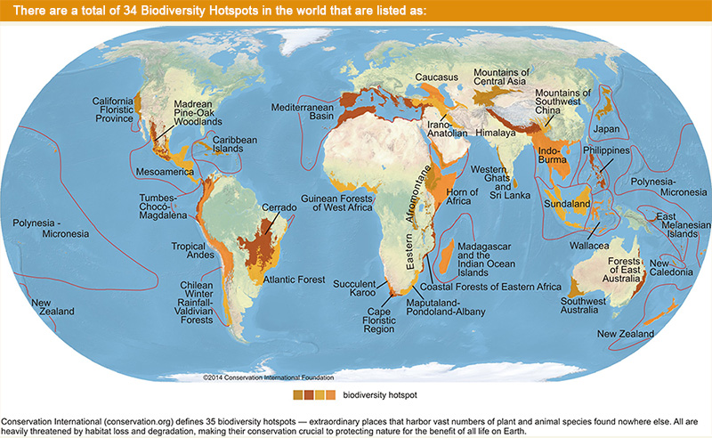 Biodiversity Hotspots in the World