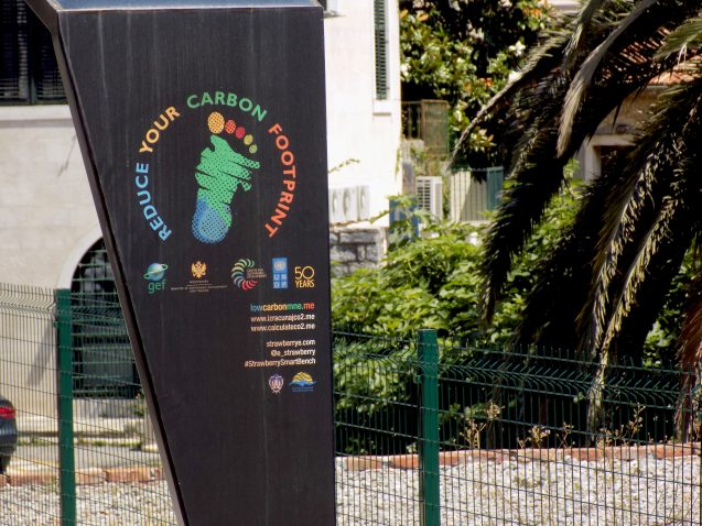 The 35 Easiest Ways to Reduce Your Carbon Footprint