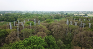 Darwin's discovery may help to plant 'better' forests for climate change fight 1 Darwin's discovery may help to plant 'better' forests for climate change fight 1