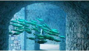 Global warming causes depletion in biodiversity: Study