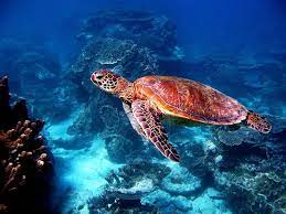 50 Best Vacation Spots & Places To Visit In The World