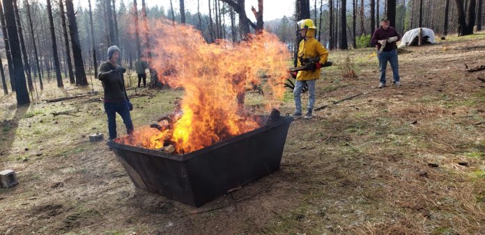 Biochar: The Permanent Compost