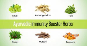 Best Ayurvedic Herbs To Boost Immunity 1