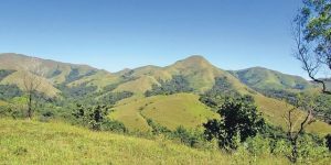 Saving Western Ghats crucial in climate change fight 1