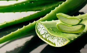 The superfood that heals, slims, provides iron and prevents aging 1