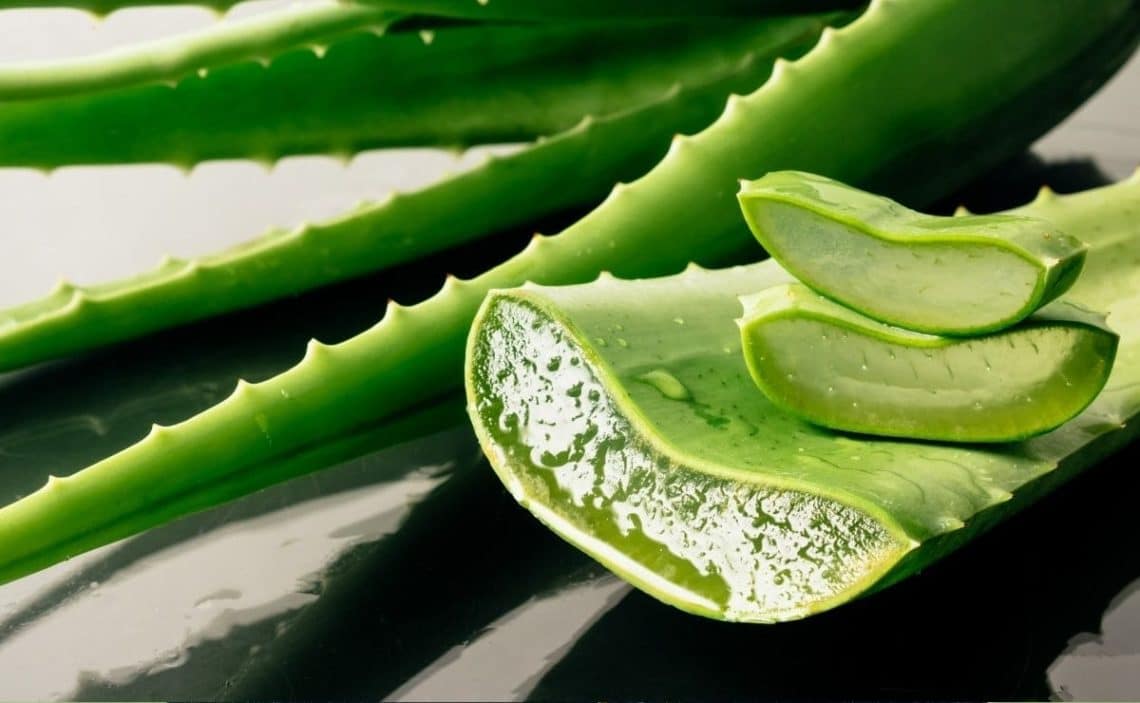 The superfood that heals, slims, provides iron and prevents aging