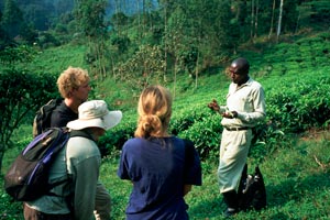 Ecotourism can play vital role in maintaining healthy forests