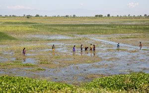 Climate Change and Migration in Vulnerable Countries 1