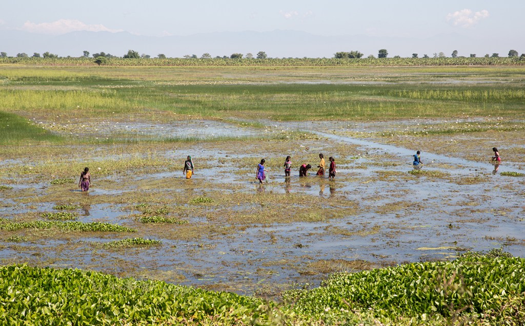 Climate Change and Migration in Vulnerable Countries