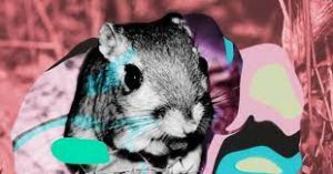 The Biodiversity Crisis Needs Its Net Zero Moment 1