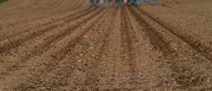 What can we do to reduce global agricultural emissions? 1