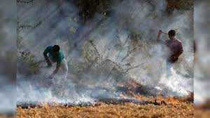 This Cost-effective Alternative to Crop Burning is Eco-friendly Also and May Help Control Air Pollution