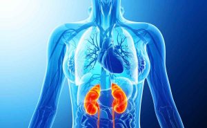 How to make things easier for your immune system this winter 1