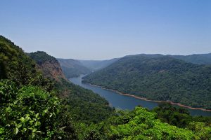 Biodiversity Hotspots in India – Everything you need to know 1