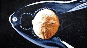 Magnesium may prime the immune system to fight cancer and infections