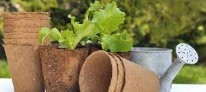 22 Advantages and Disadvantages of Biodegradable Plastics 1