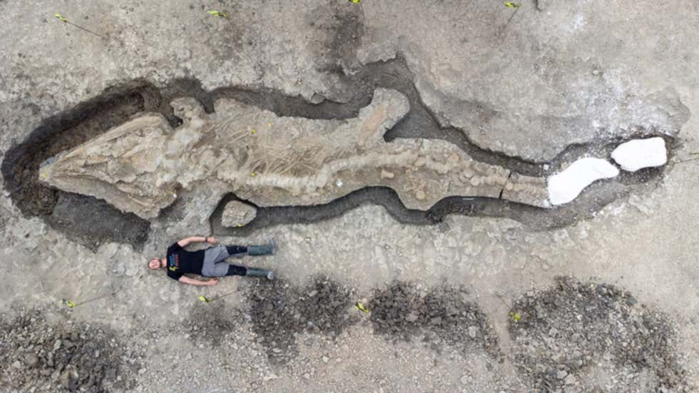 Sea Dragon: 180-Million-Year-Old Fossil of a Giant Sea Creature Discovered in the UK