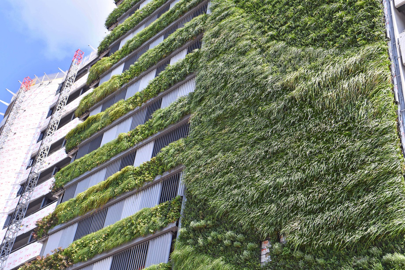 The Importance of Urban Greening