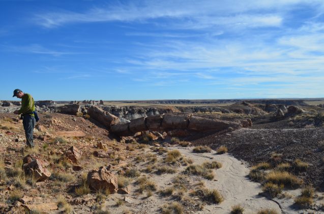 Megadrought in Southwest Is Now the Worst in at Least 1,200 Years, Study Confirms