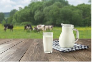 Health Benefits of A2 Milk | GreenStories