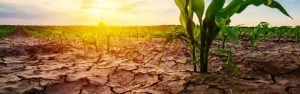 How climate change affects agriculture? 1 How climate change affects agriculture? 1