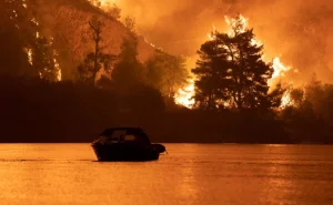 Stakes "Never Been Higher" In Fight Against Climate Change: UN Panel 1