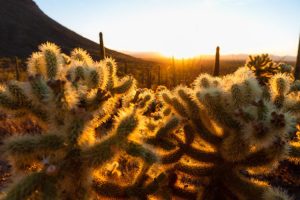 A photo from every National Park I visited in 2021 1