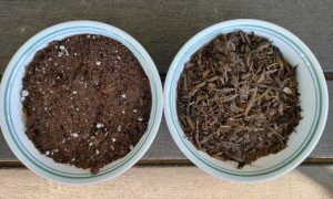 Seed Starting Mix Vs Potting Soil: Which To Use 4