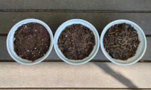 Seed Starting Mix Vs Potting Soil: Which To Use 3