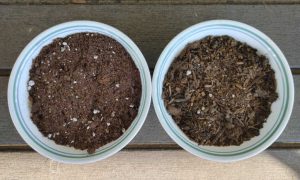 Seed Starting Mix Vs Potting Soil: Which To Use 1