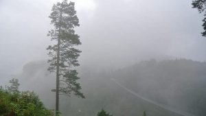 Why are doctors issuing ‘green’ prescriptions? Because mental health needs more than medicine 1 Why are doctors issuing ‘green’ prescriptions? Because mental health needs more than medicine 1