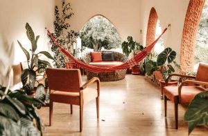 How to Cultivate an Eco-Friendly Home in 7 Steps 1 How to Cultivate an Eco-Friendly Home in 7 Steps 1