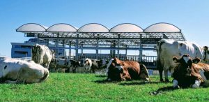 Rotterdam: Floating Urban Farm Is Now Open 2