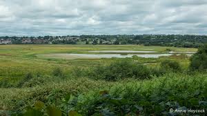 Two Pandas At An Empty Zoo Under Coronavirus Quarantine Finally Boned After 10 Years Together