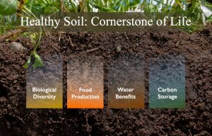 Save Soil to Save Life on Earth!! 1