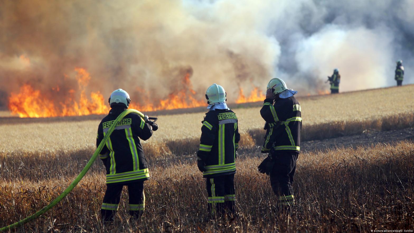 This heat wave is killing us