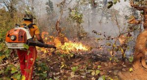 Climate change leading to a spike in forest fires 1