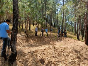 Find out how Trees+, a project that goes beyond afforestation is repairing Mukteshwar's rainfall pattern 1