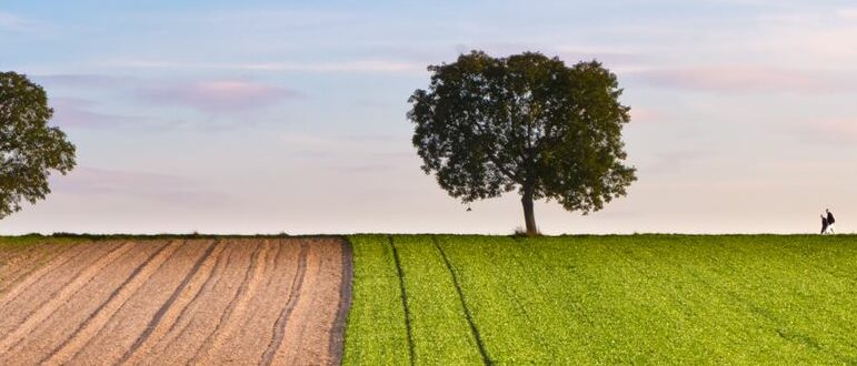 5 Steps to More Sustainable DevOps