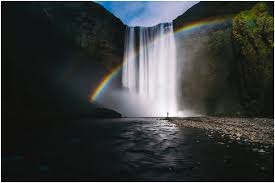 Co-Living with Nature Is Needed for Our Sustainable Future 1