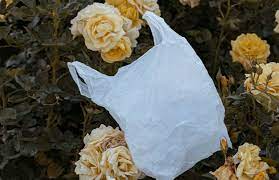 How To Recycle (& Reuse) Plastic Bags So They Stay Out Of The Landfill