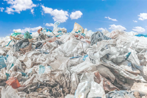 Plastic-eating Enzyme Could Eliminate Billions of Tons of Landfill Waste 1