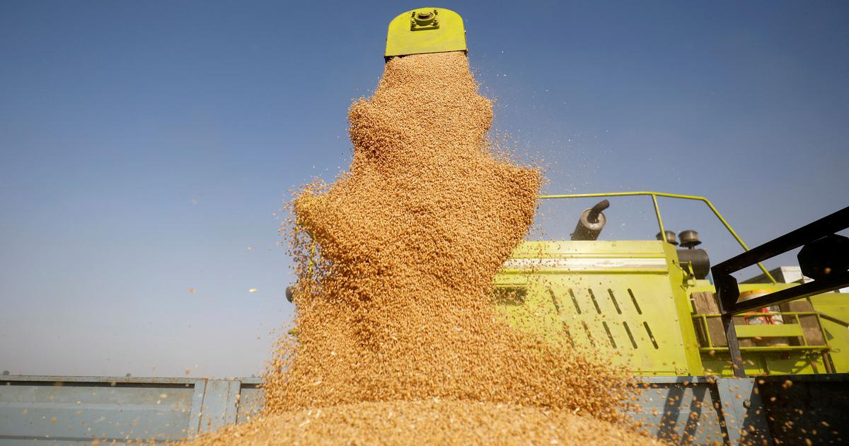 Why India’s heatwave holds lessons for the world