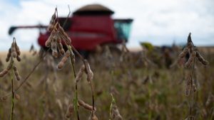 Can the world feed itself? Historic fertiliser crunch threatens food security 1