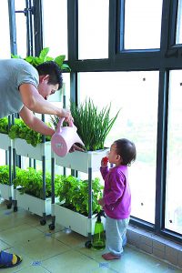 Balcony gardening becomes growing trend as lifestyle 1