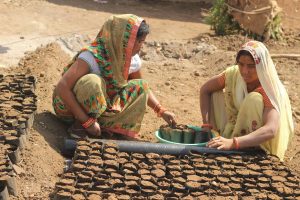 An afforestation project that helps farmers to nurture their land and enrich their lives 3 An afforestation project that helps farmers to nurture their land and enrich their lives 3