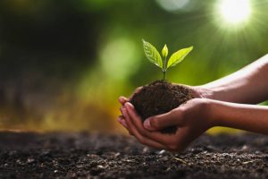 An afforestation project that helps farmers to nurture their land and enrich their lives 1 An afforestation project that helps farmers to nurture their land and enrich their lives 1