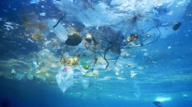 The ocean’s biggest garbage pile is full of floating life