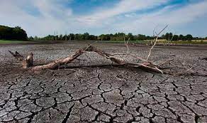 Climate change to make droughts longer, more common: UN